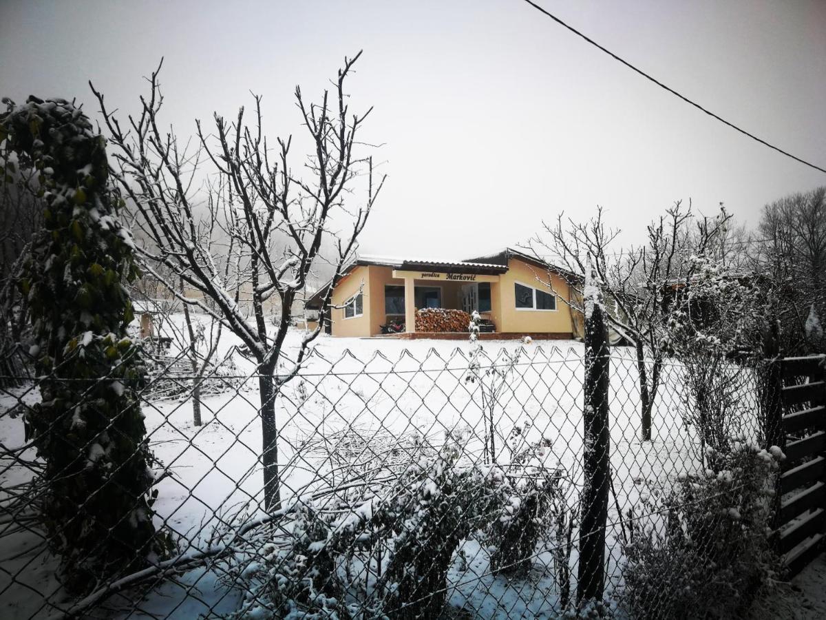 "Porodica Markovic" Borsko Jezero Beljevina 外观 照片